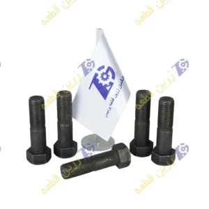 پیچ کفشک هیوندای 800